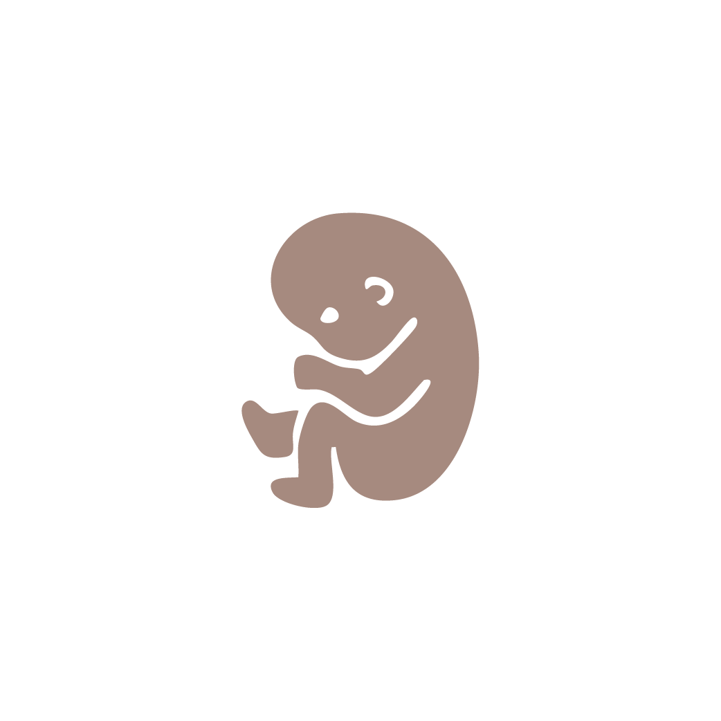 Trimester icons brown-02
