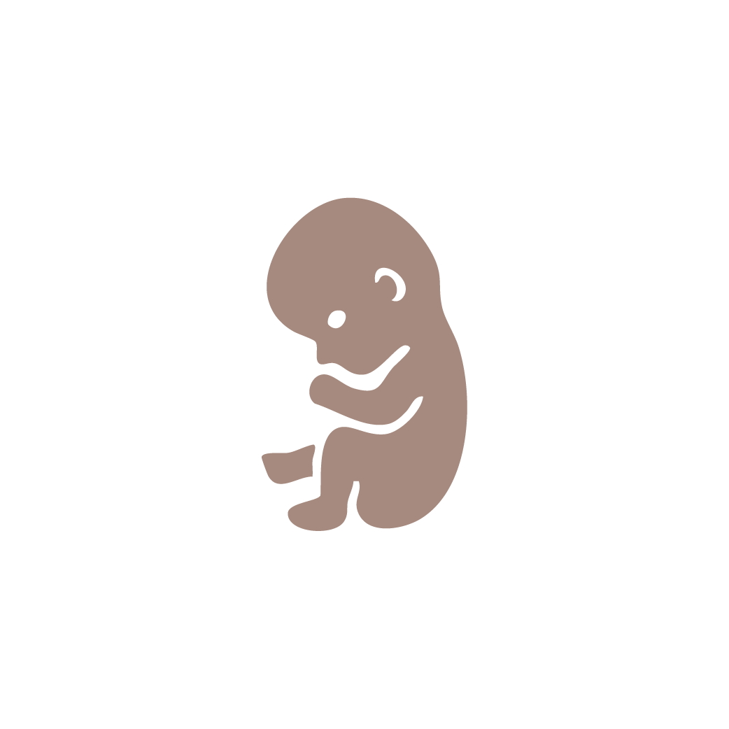 Trimester icons brown-04