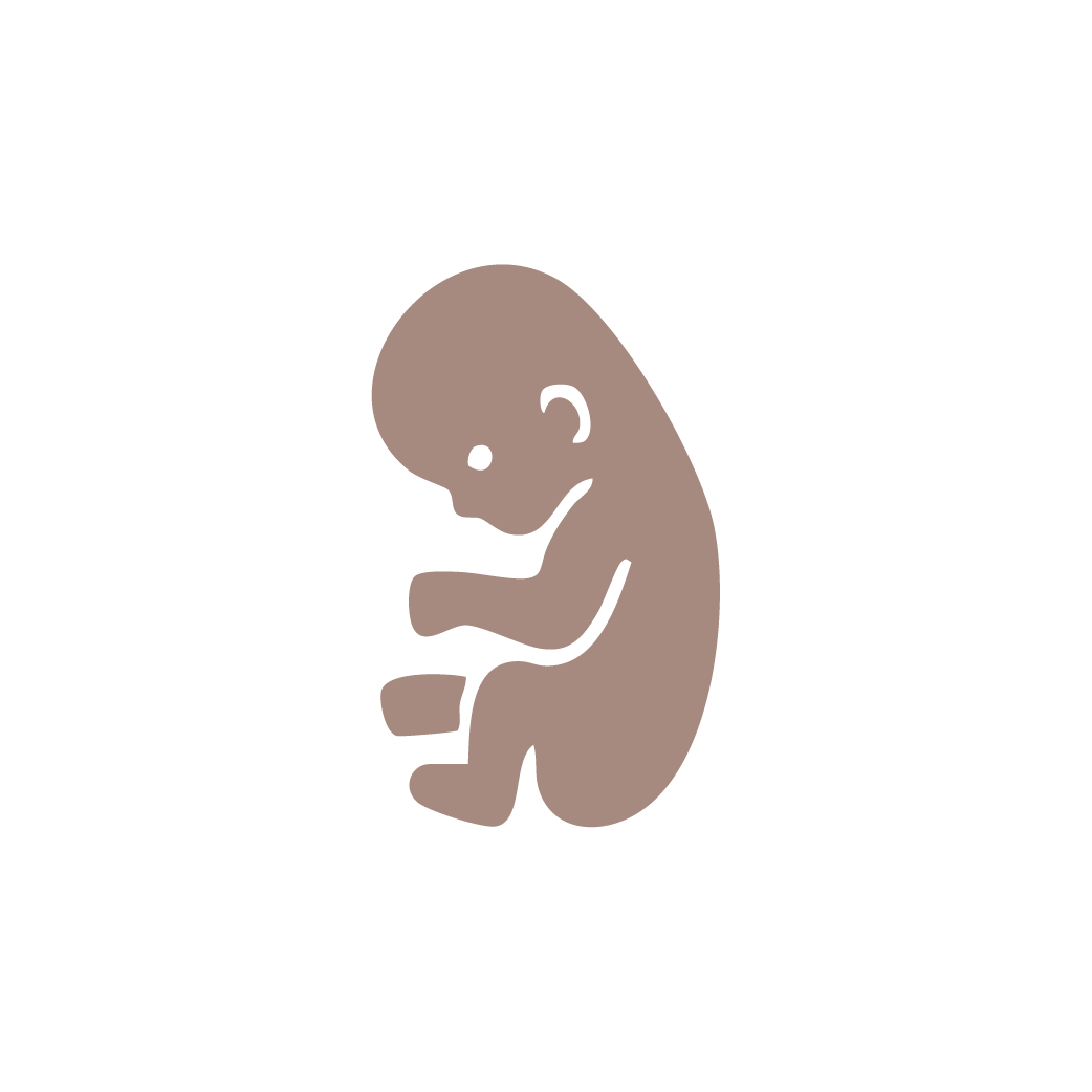 Trimester icons brown-05