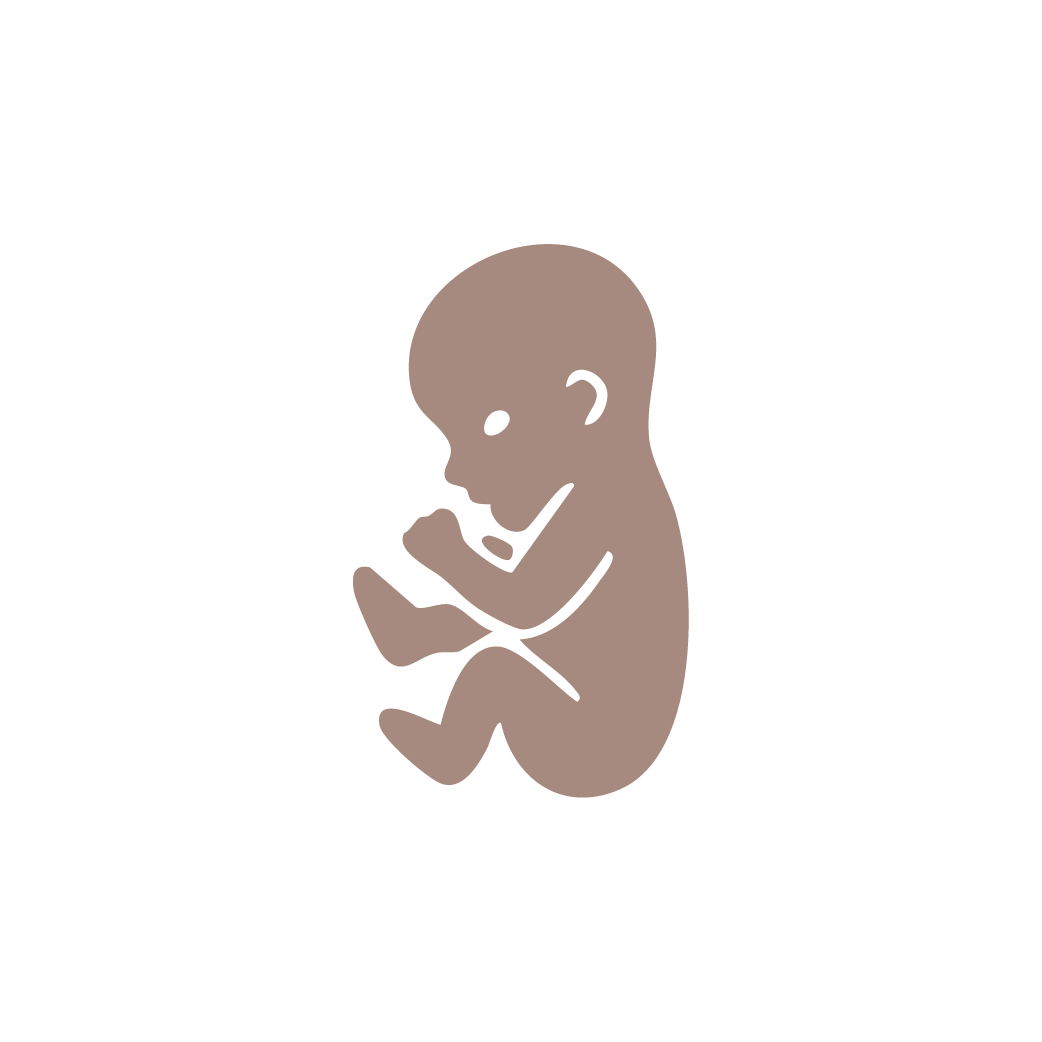 Trimester icons brown-07